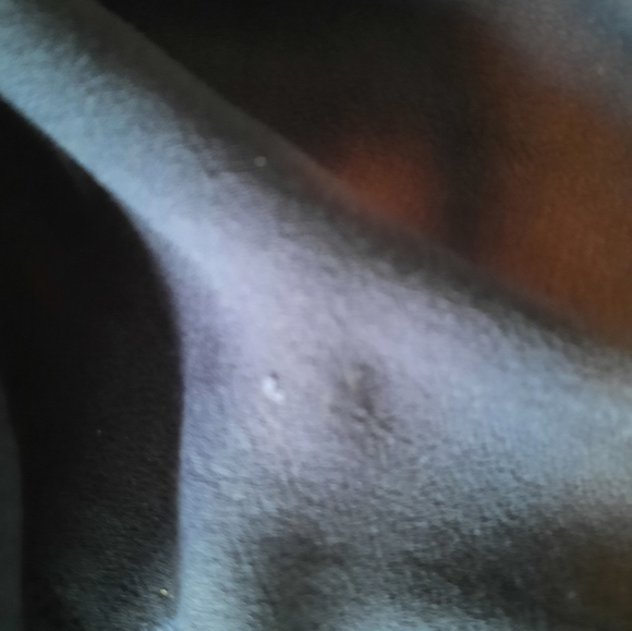 Size L Dark Blue Cotton Button Down Tank Top - Picture 7 of 7